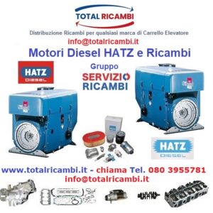 Cerchi Ricambi per Motori Industriali HATZ Diesel 2L41C