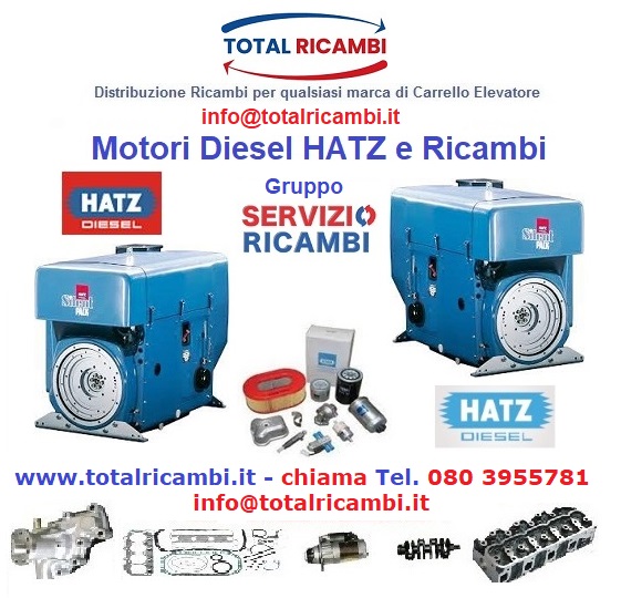 Cerchi Ricambi per Motori Industriali HATZ Diesel 2L41C