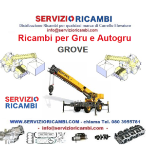 Autogru Elettriche e Diesel e Ricambi Gru Semoventi Rigante