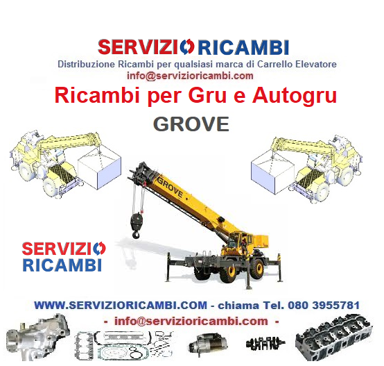 Autogru Elettriche e Diesel e Ricambi Gru Semoventi Rigante