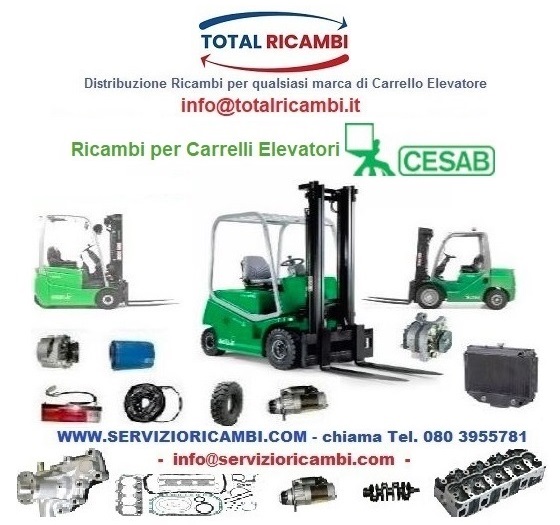 Servizio Total Ricambi per Muletti e Carrelli Elevatori Cesab