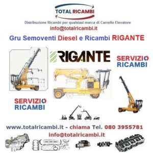 Distribuiamo Ricambi per Autogru e Gru Rigante GR70-GR100-GR120