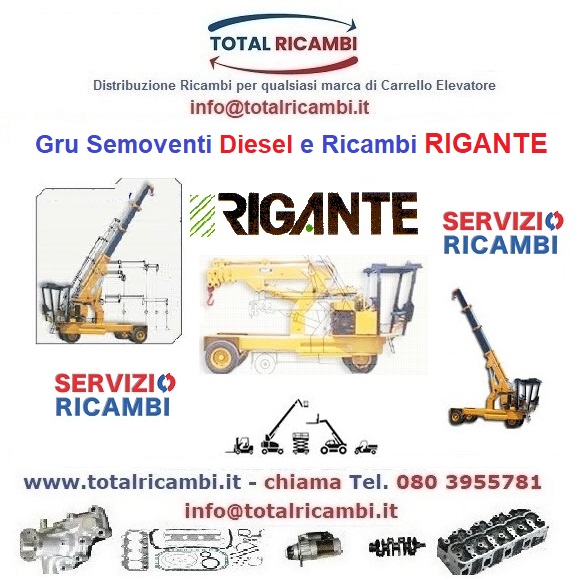 Distribuiamo Ricambi per Autogru e Gru Rigante GR70-GR100-GR120