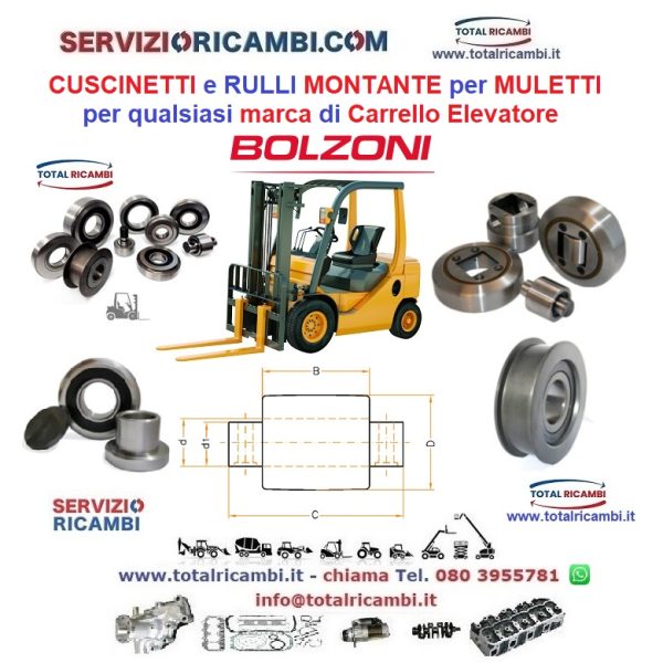 Distribuiamo Ricambi Bolzoni per Montante per Carrelli Elevatori e Cuscinetto montante per Muletti vendita e supporto ricambi Total spare parts service