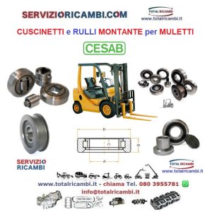 Distribuiamo Rulli e Cuscinetti Montante per Cesab Carrelli Elevatori e Muletti vendita e supporto ricambi Total spare parts service