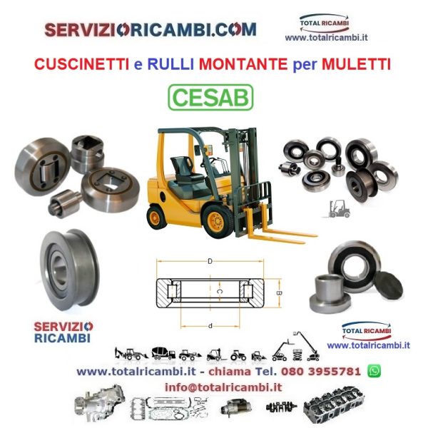 Distribuiamo Rulli e Cuscinetti Montante per Cesab Carrelli Elevatori e Muletti vendita e supporto ricambi Total spare parts service